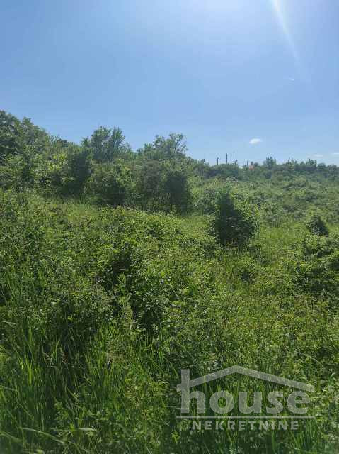 Plac Prodaja Novi Sad  6250 m2