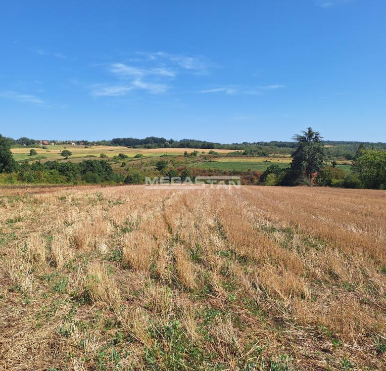 Barajevo – Lisović, 20 ari.