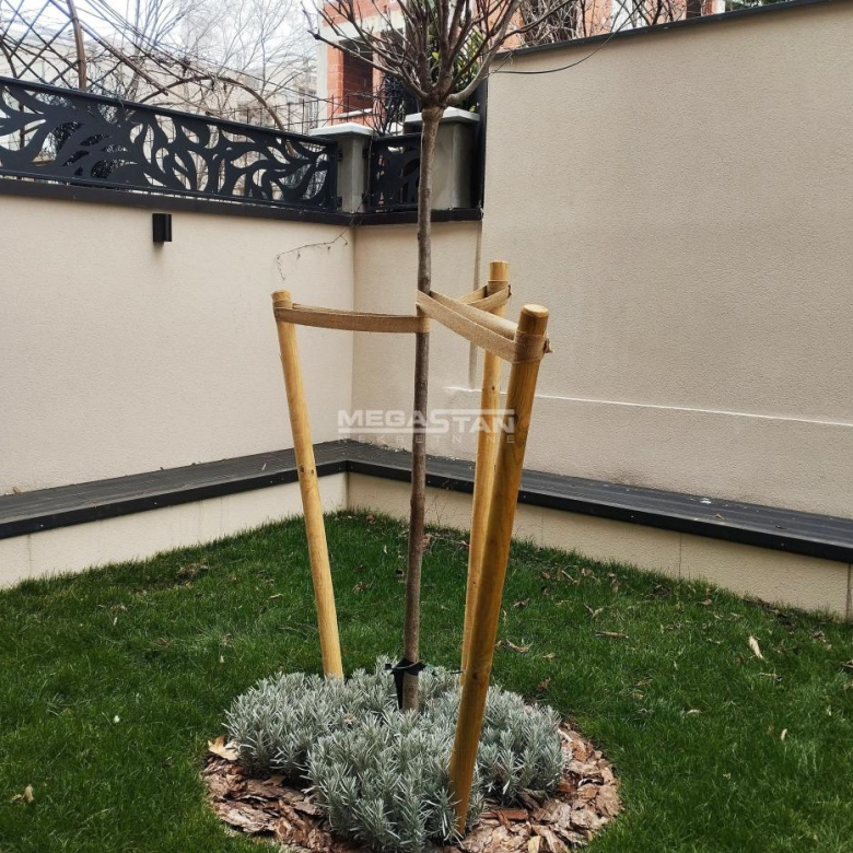 Lokal Izdavanje Beograd Senjak 385 m2