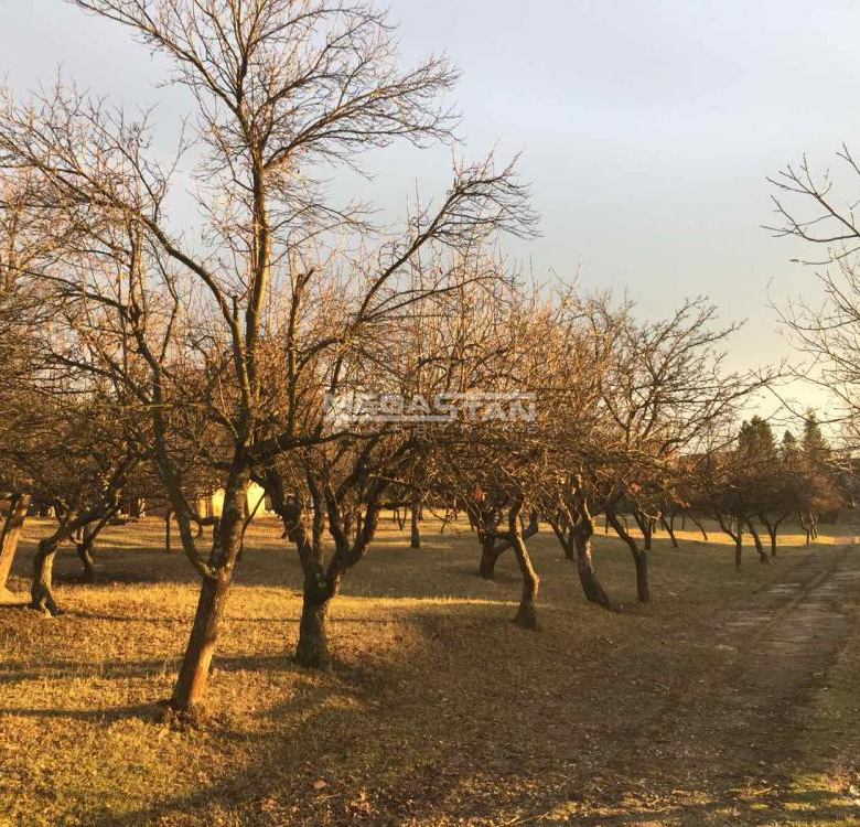 Plac Prodaja Beograd Boleč 0 m2