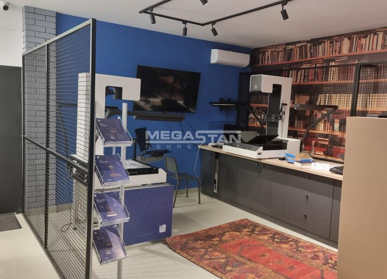 Lokal Izdavanje Beograd Vidikovac 162 m2