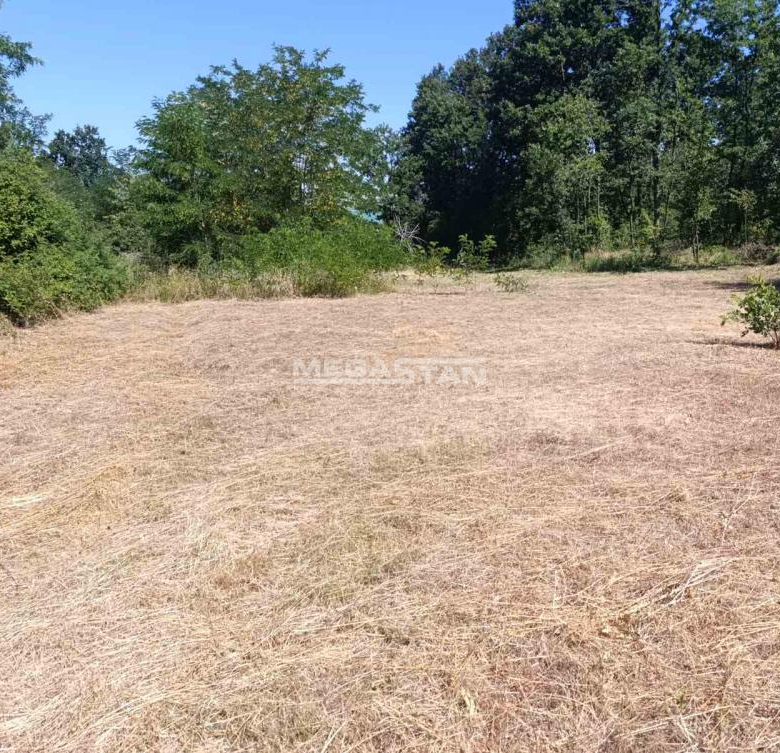 Plac Prodaja Beograd Vranić 0 m2
