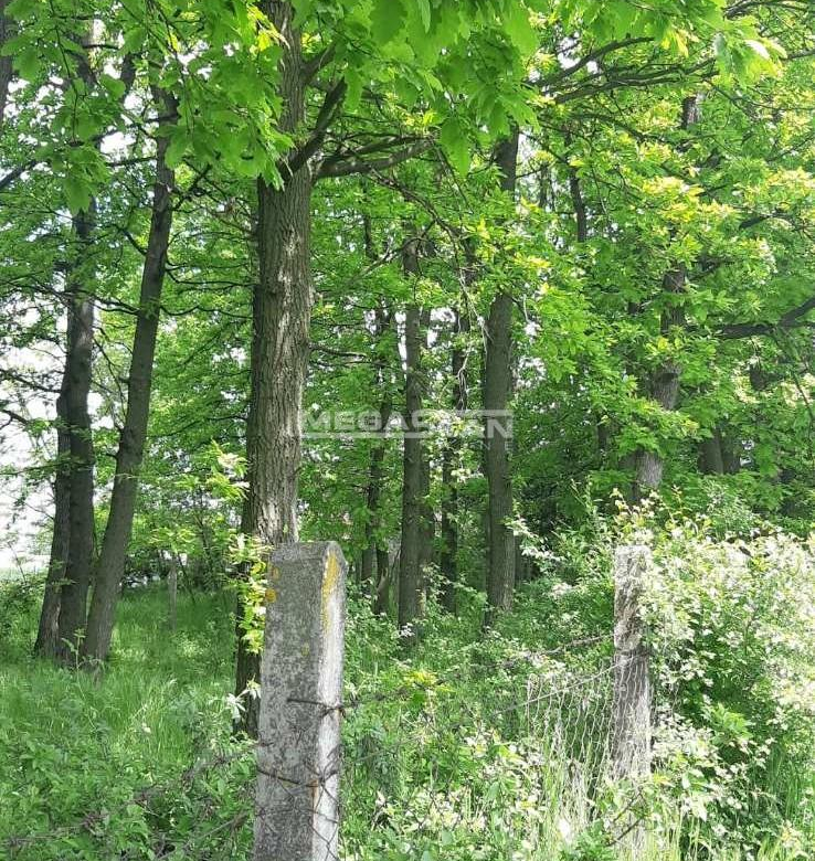 Plac Prodaja Beograd Guncati 0 m2