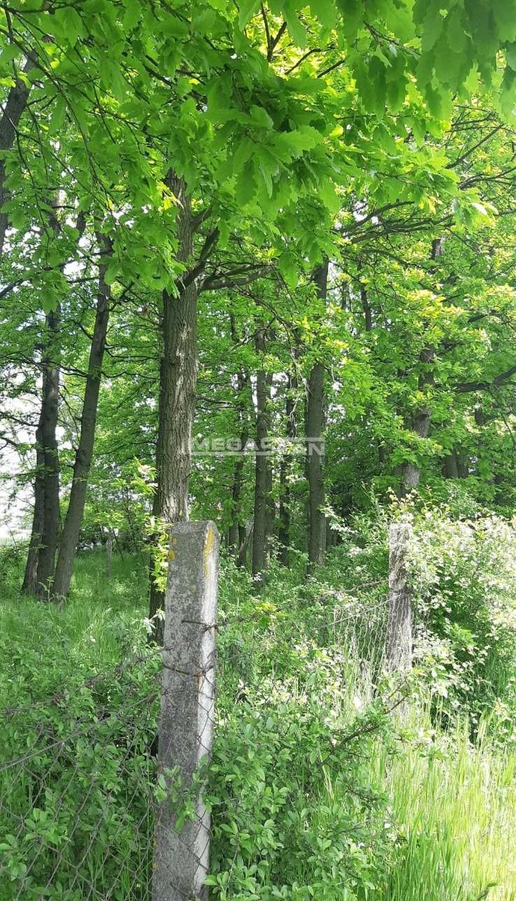 Plac Prodaja Beograd Plac Prodaja Beograd Guncati 0 m2