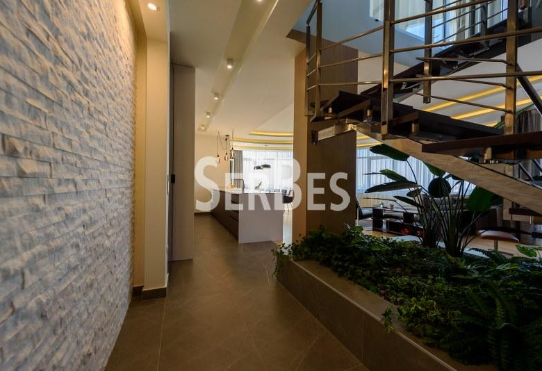 Stan Prodaja Novi Sad  230 m2