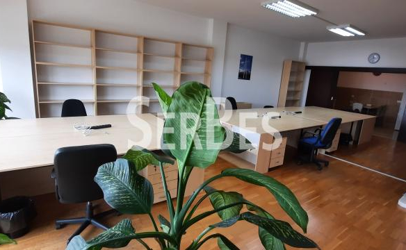 Lokal Izdavanje Novi Sad  210 m2