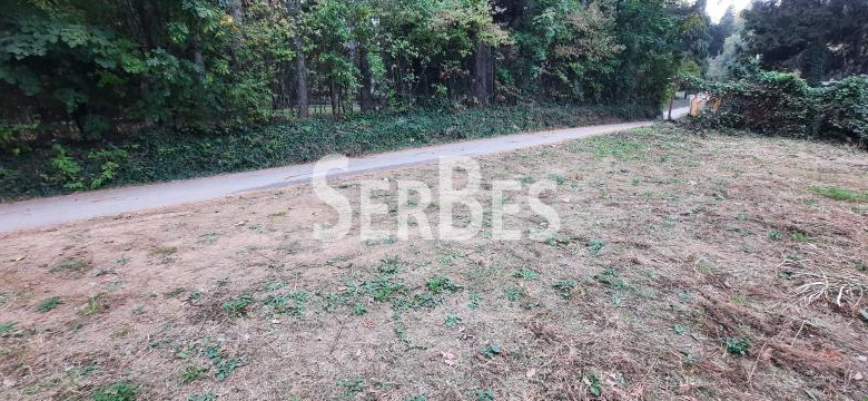 Plac Prodaja Novi Sad Popovica 0 m2