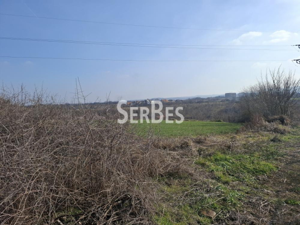Gradjevinski plac na Trandzamentu 3251m2 ID#1537