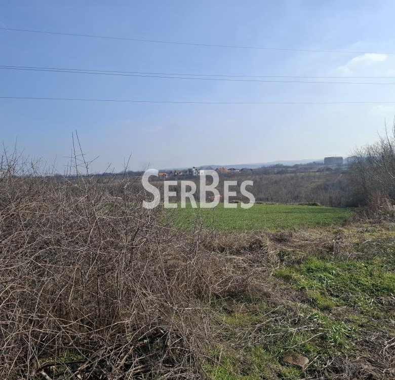Gradjevinski plac na Trandzamentu 3251m2 ID#1537.