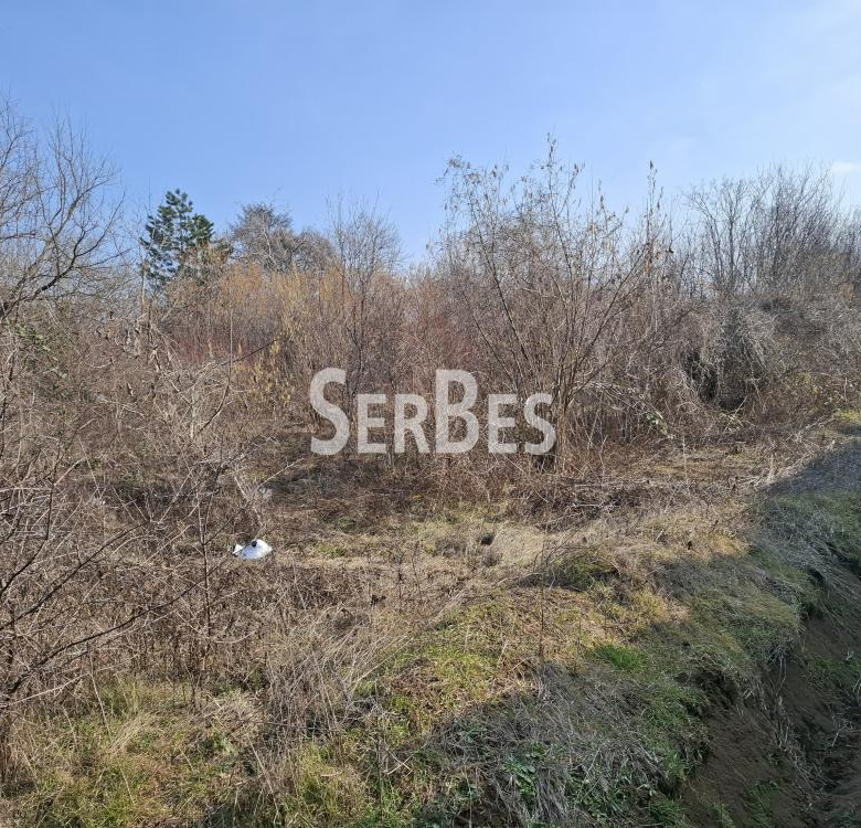 Plac Prodaja Novi Sad Trandžament 0 m2