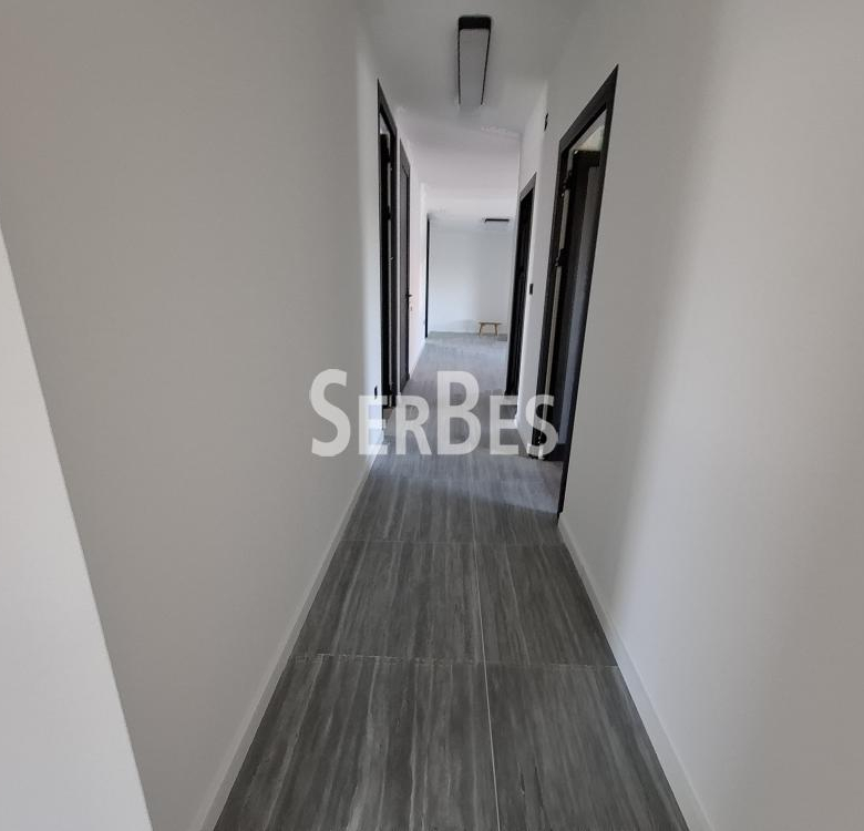 Lokal Prodaja Novi Sad  600 m2