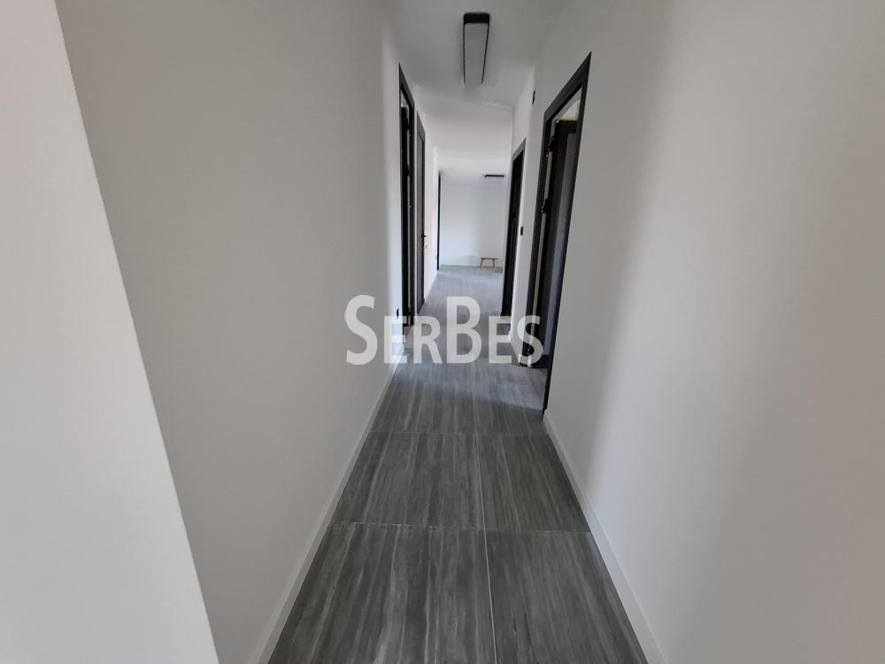 Lokal Prodaja Novi Sad Lokal Prodaja Novi Sad 600 m2
