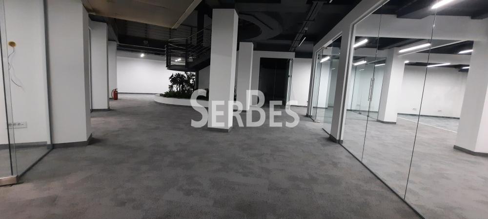 Lokal Prodaja Novi Sad  305 m2