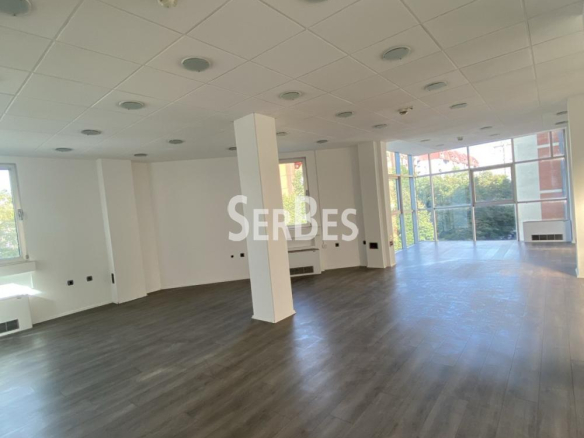 Lokal Izdavanje Novi Sad  352 m2