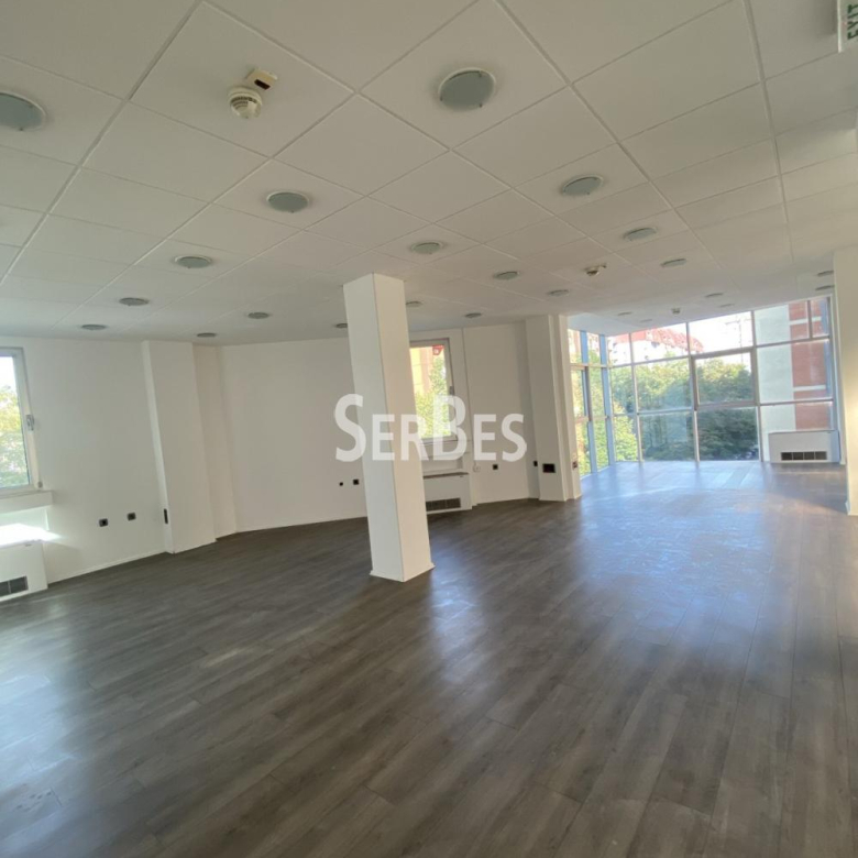 Lokal Izdavanje Novi Sad  352 m2