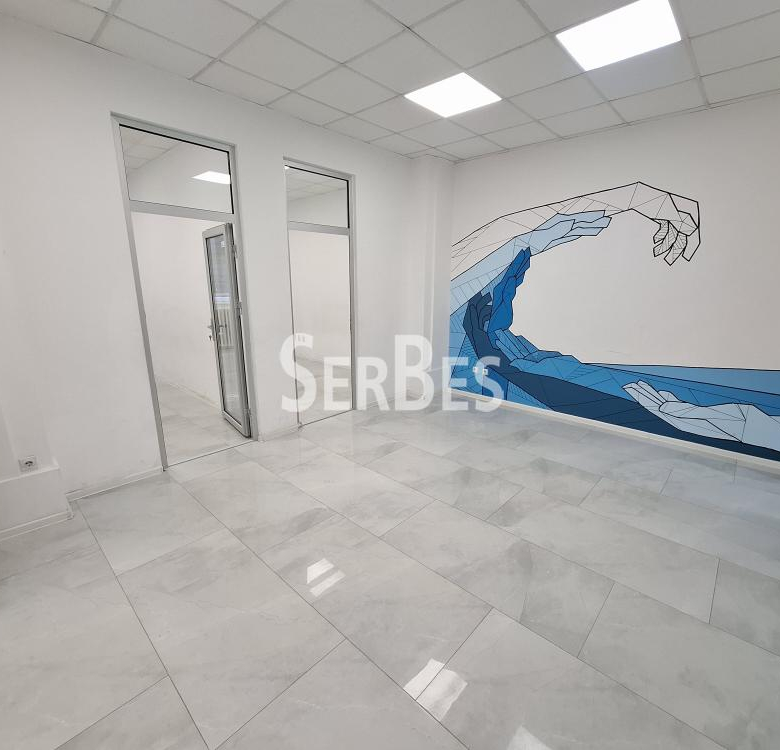Lokal Izdavanje Novi Sad  235 m2