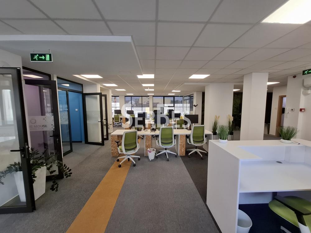 Lokal Izdavanje Novi Sad Lokal Izdavanje Novi Sad 204 m2