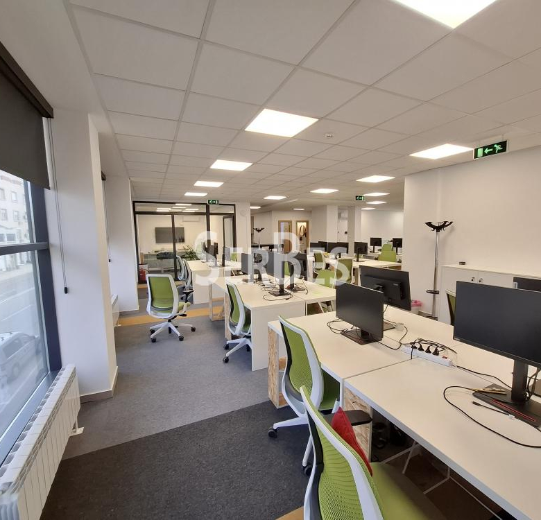 Lokal Izdavanje Novi Sad  204 m2