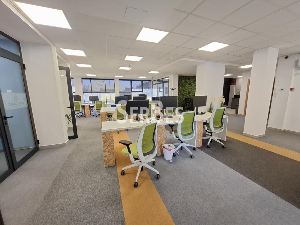 Lokal Izdavanje Novi Sad Lokal Izdavanje Novi Sad 204 m2