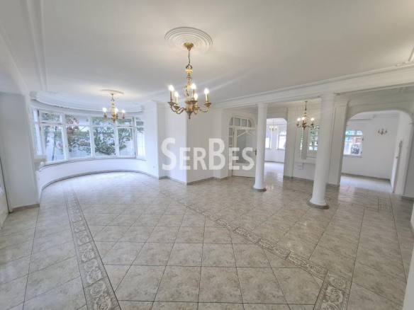Lokal Izdavanje Novi Sad  300 m2