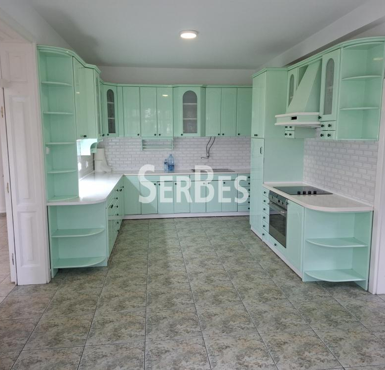 Lokal Izdavanje Novi Sad  300 m2