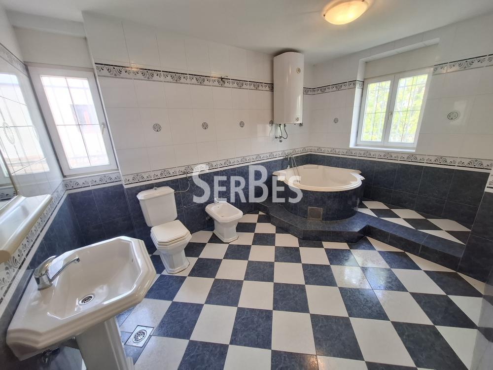 Lokal Izdavanje Novi Sad  300 m2