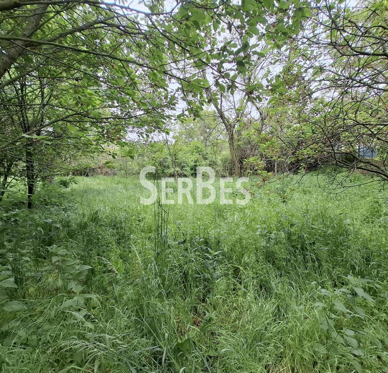 Plac Prodaja Beočin  0 m2