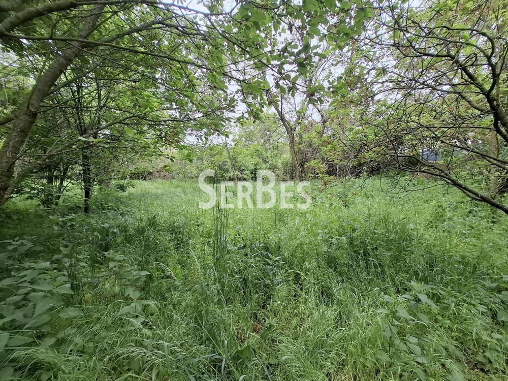 Plac Prodaja Beočin Plac Prodaja Beočin 0 m2