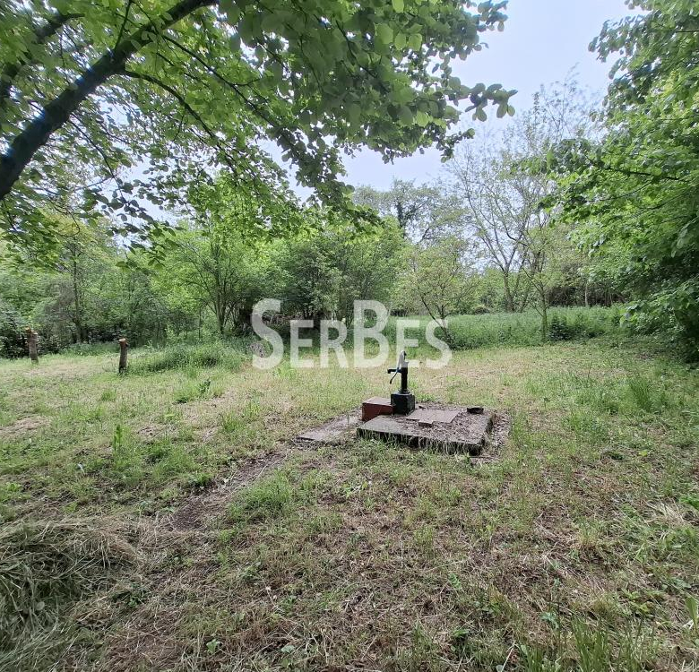 Plac Prodaja Beočin  0 m2
