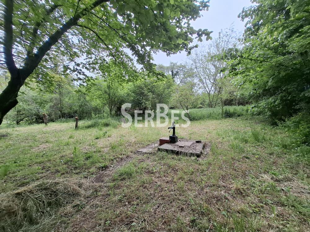 Plac Prodaja Beočin Plac Prodaja Beočin 0 m2
