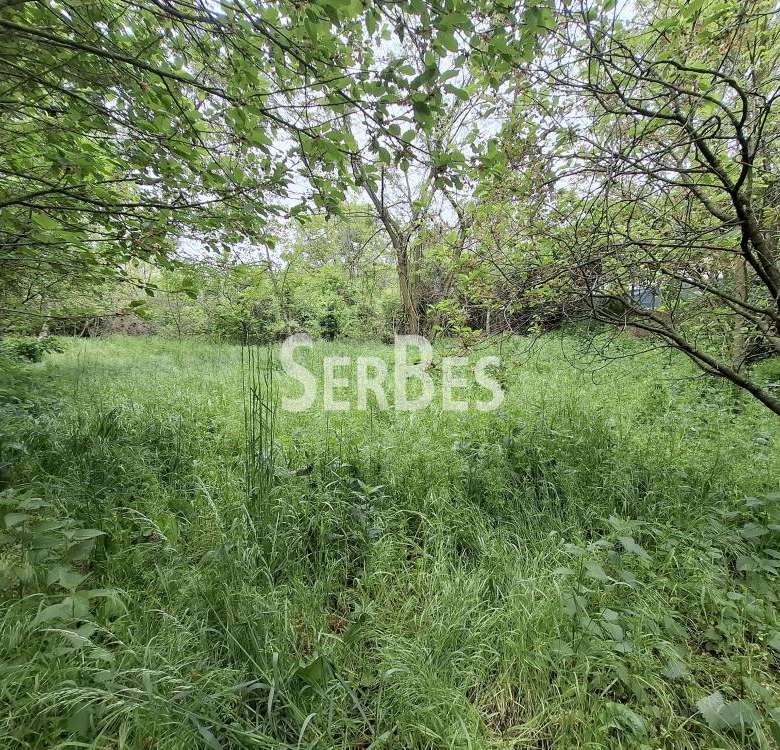 Plac Prodaja Beočin  0 m2