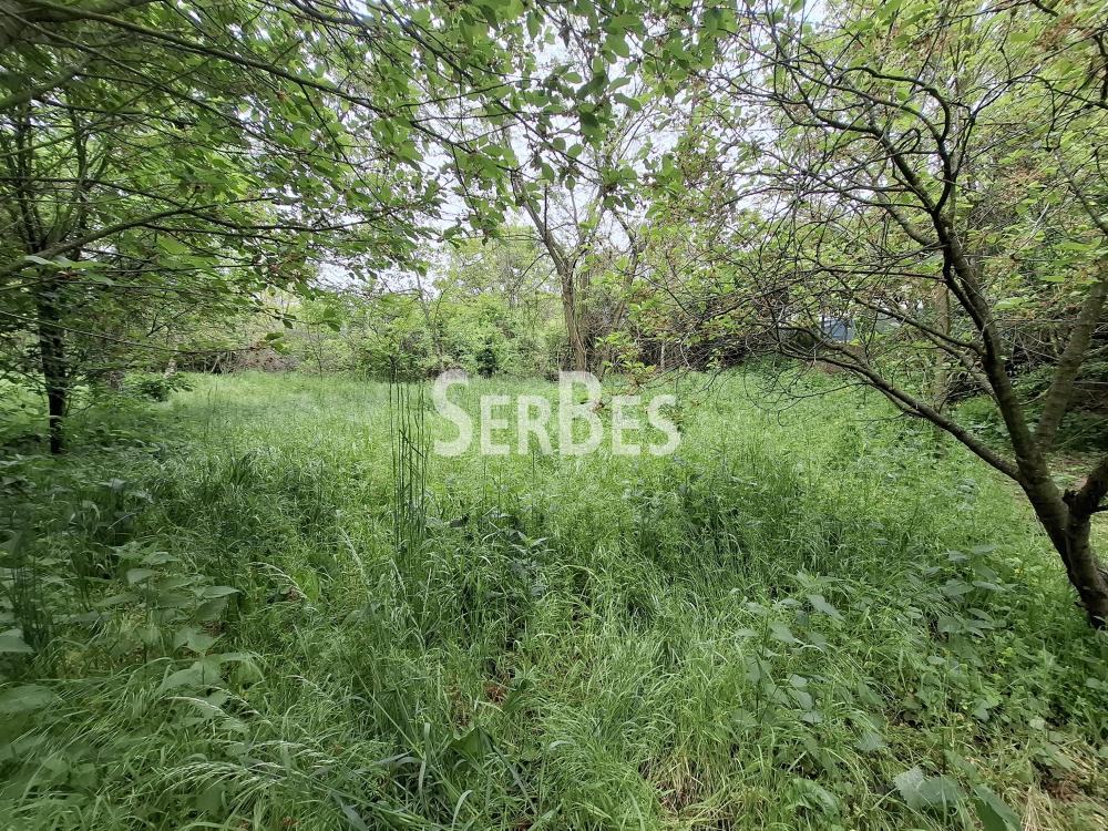 Plac Prodaja Beočin Plac Prodaja Beočin 0 m2