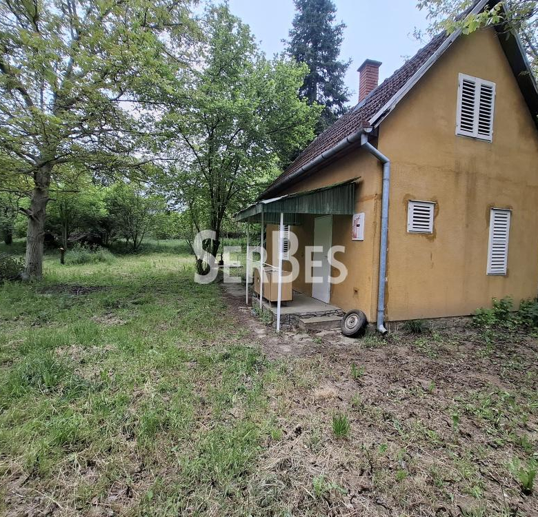 Plac Prodaja Beočin  0 m2
