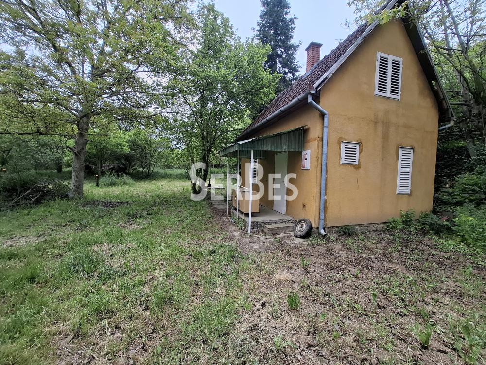 Plac Prodaja Beočin Plac Prodaja Beočin 0 m2