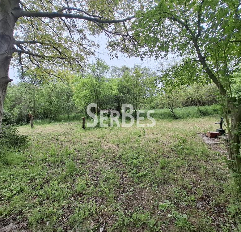 Plac Prodaja Beočin  0 m2