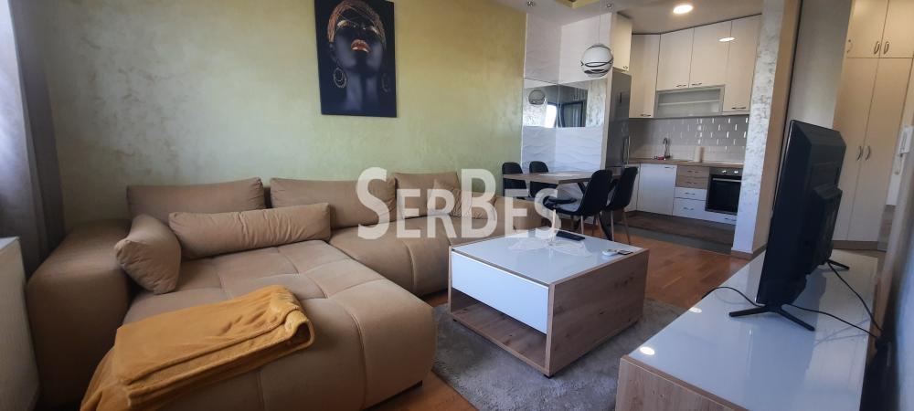 Stan Izdavanje Novi Sad  42 m2