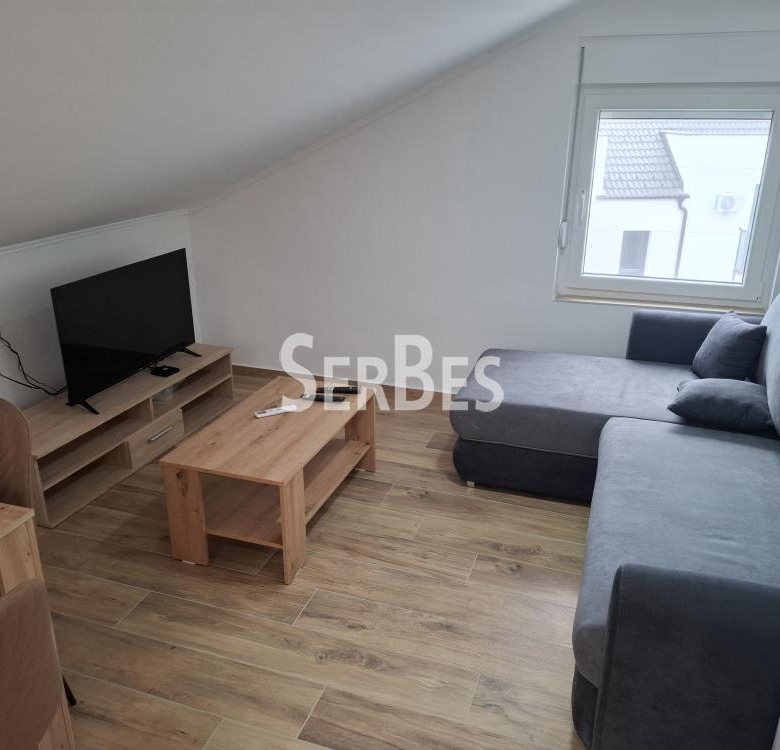 Stan Izdavanje Novi Sad  25 m2