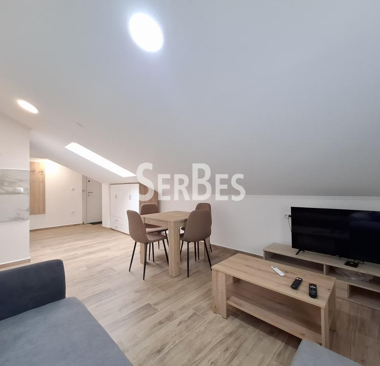 Stan Izdavanje Novi Sad  25 m2