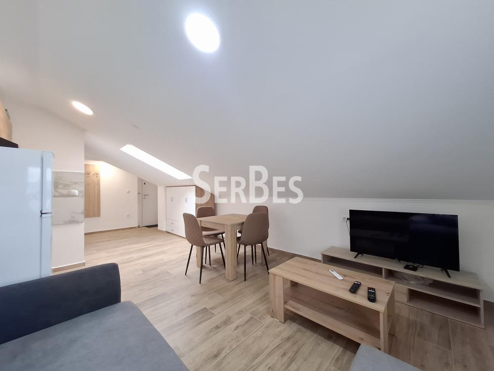 Stan Izdavanje Novi Sad Stan Izdavanje Novi Sad 25 m2