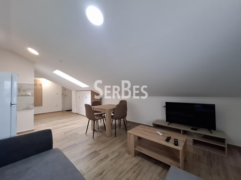 Stan Izdavanje Novi Sad Stan Izdavanje Novi Sad 25 m2
