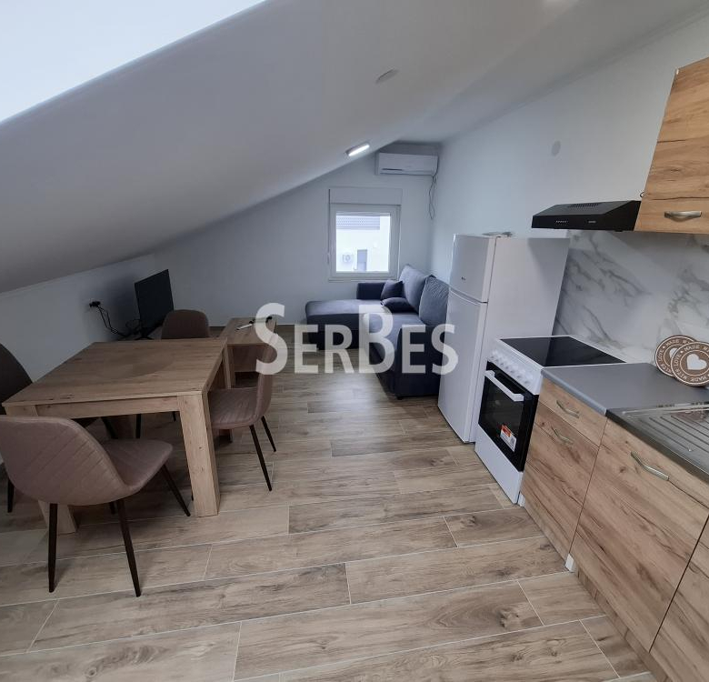 Stan Izdavanje Novi Sad  25 m2
