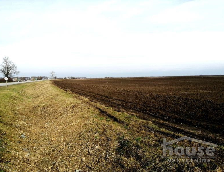 Plac – Novi Sad, Sirig – ID 7080895.