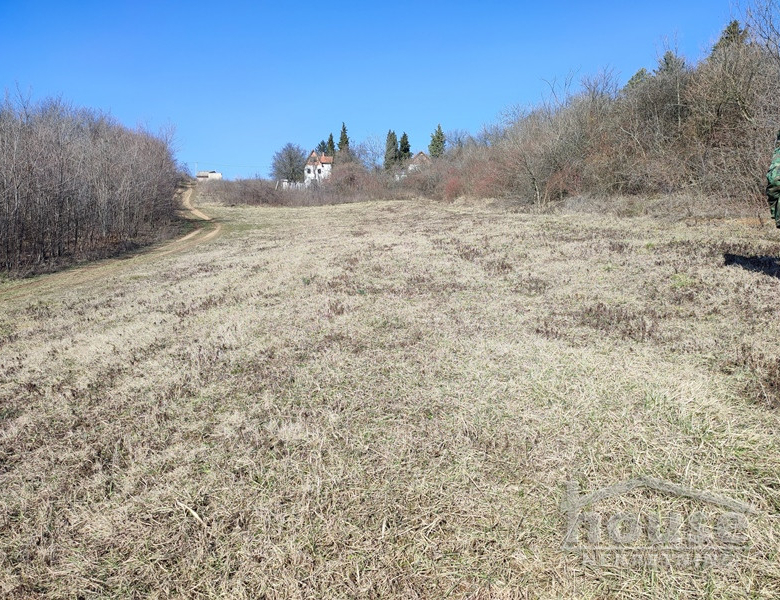 Plac Prodaja Novi Sad  2200 m2