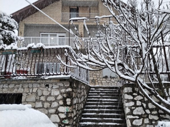 Kuća Prodaja Novi Sad  300 m2