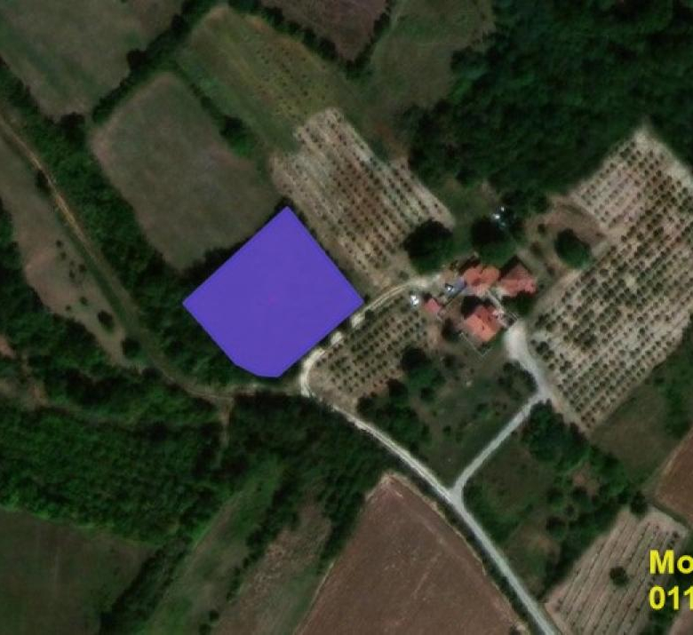 Plac – Topola, Okolina – ID 22111.