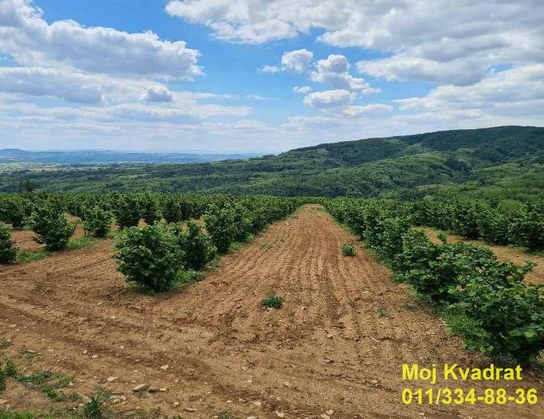 Plac – Beograd, Mladenovac Koraćica – ID 18386