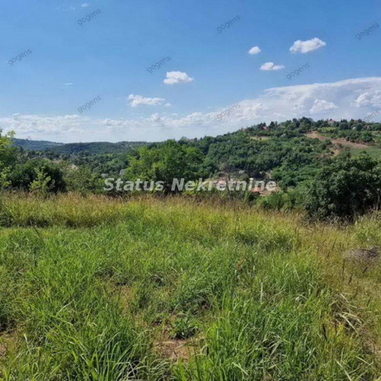 Plac Prodaja Novi Sad  0 m2