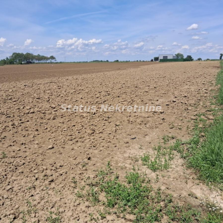 Plac Prodaja Novi Sad  0 m2