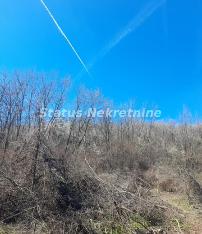 Plac – Sremski Karlovci, – ID 19960.