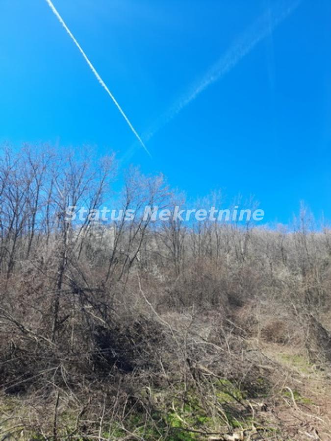 Plac Prodaja Sremski Karlovci  0 m2